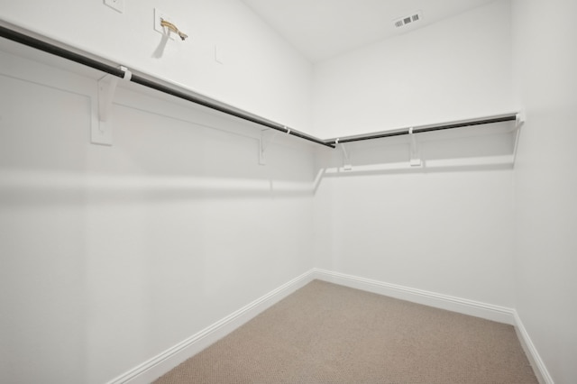 604 Willet Dr, Mckinney, TX 75069 - walk in closet with light colored carpet