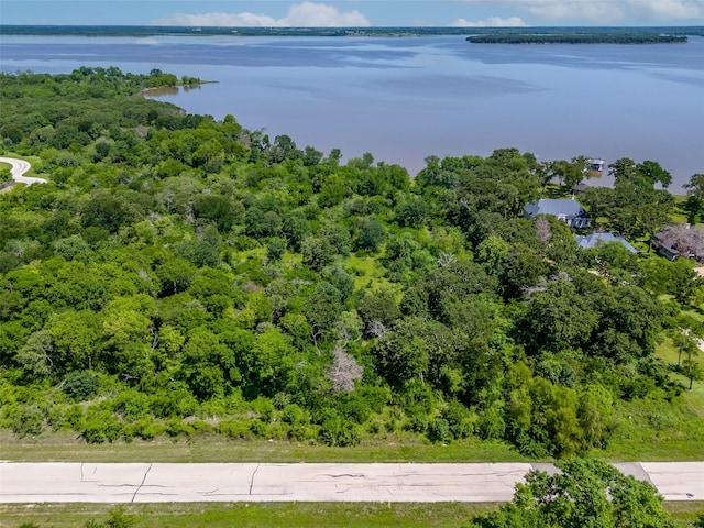 8631 Southern Shores Ct, Kemp, TX 75143