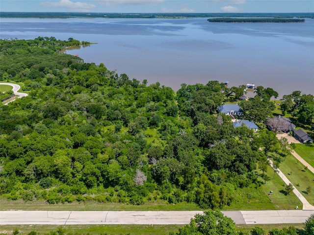 8631 Southern Shores Ct, Kemp, TX 75143