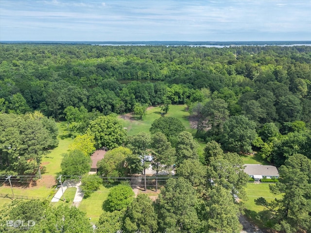 aerial view with a forest view