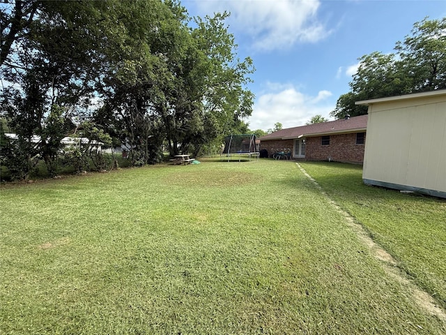 1141 Bowie St, Sulphur Springs, TX 75482 - view of grassy yard featuring a trampoline