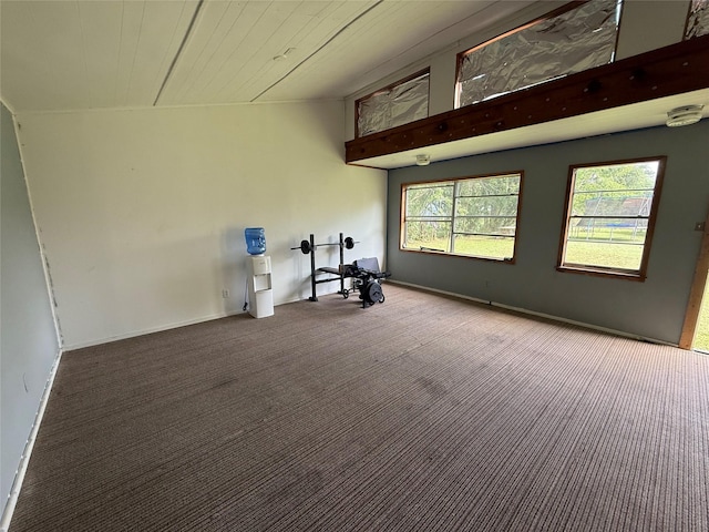 1141 Bowie St, Sulphur Springs, TX 75482 - exercise room with carpet