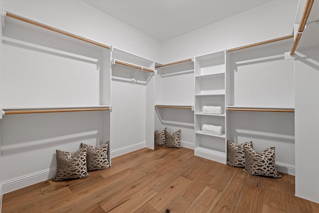 913 Beall St, Denton, TX 76207 - spacious closet featuring wood finished floors