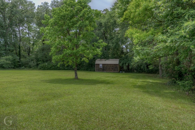 view of yard with an outbuilding and a storage shed