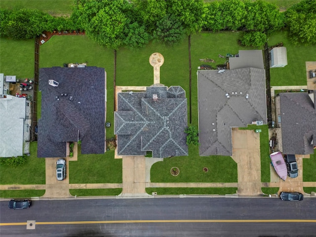 bird's eye view