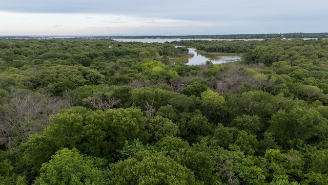 4025 Wild Turkey Dr, Hickory Creek, TX 75065 - aerial view of a heavily wooded area and a nearby body of water