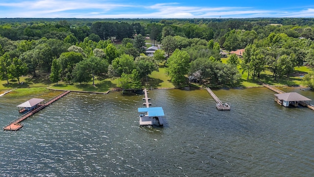 2204 County Road 1570, Alba, TX 75410 - aerial view of a large body of water and a forest