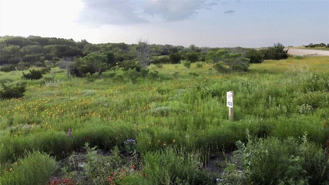 TBD Adobe Hill Dr Lot 103, Stephenville, TX 76401