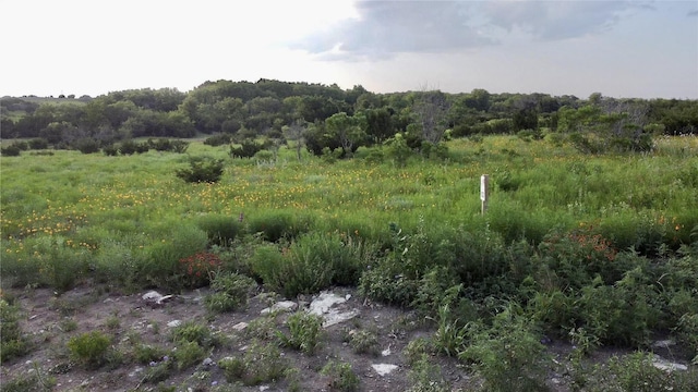 TBD Adobe Hill Dr Lot 103, Stephenville, TX 76401