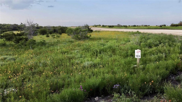 TBD Adobe Hill Dr Lot 103, Stephenville, TX 76401