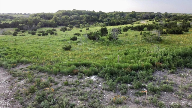 TBD Adobe Hill Dr Lot 103, Stephenville, TX 76401