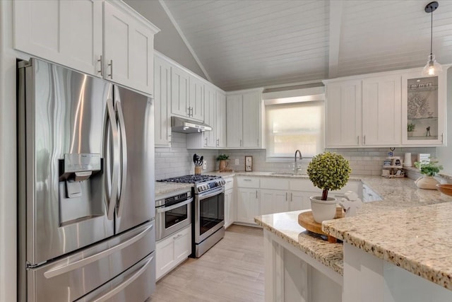 10 Holland St, Pottsboro, TX 75076 - kitchen featuring appliances with stainless steel finishes, a sink, under cabinet range hood, white cabinetry, and backsplash