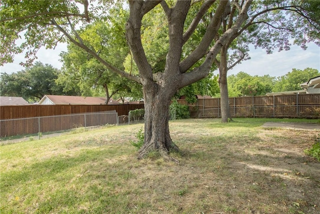 view of yard with a fenced backyard