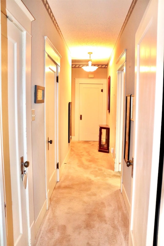 hall with ornamental molding, light carpet, a textured ceiling, and baseboards