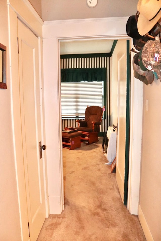 corridor with light colored carpet