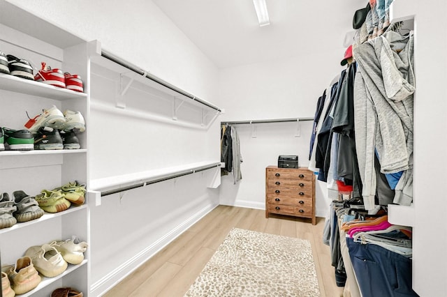 1504 Bearpath Way, Gunter, TX 75058 - walk in closet with light wood-style floors