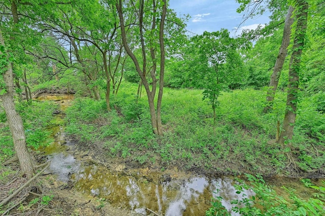 1504 Bearpath Way, Gunter, TX 75058 - view of undeveloped land