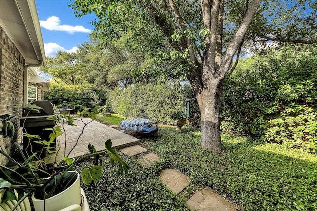 10110 Andre Dr, Irving, TX 75063 - view of yard featuring a patio area