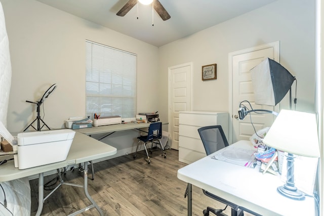 office area featuring ceiling fan and wood finished floors