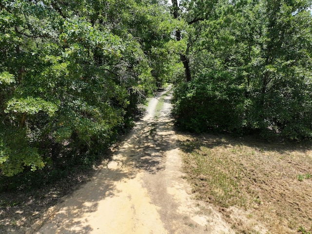 TBD Cr 431 Road, Fairfield, TX 75840