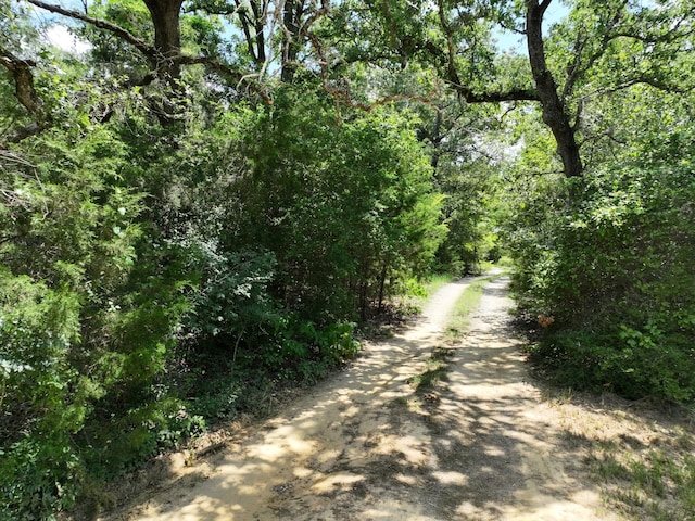 TBD Cr 431 Road, Fairfield, TX 75840