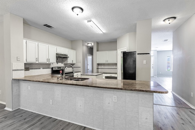 kitchen featuring a sink, wood finished floors, freestanding refrigerator, visible vents, and under cabinet range hood