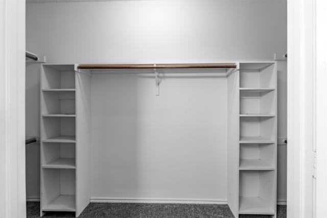 walk in closet featuring carpet flooring