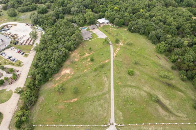 bird's eye view