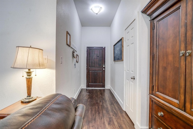 interior space featuring baseboards and dark wood-type flooring