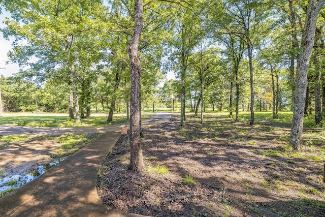 906 County Road 2770, Honey Grove, TX 75446 - view of local wilderness