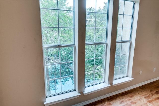 details featuring wood finished floors and baseboards