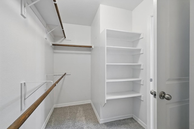 spacious closet with carpet