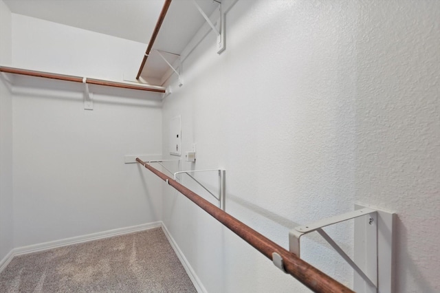 walk in closet with carpet flooring
