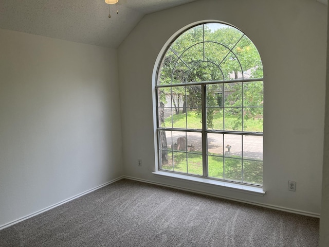 7636 Arbor Ridge Ct, Fort Worth, TX 76112 - carpeted spare room with vaulted ceiling, a textured ceiling, and baseboards