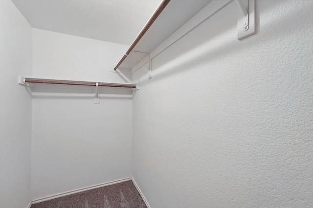 walk in closet featuring carpet