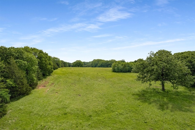 6111 County Road 2610, Bonham, TX 75418 - view of local wilderness