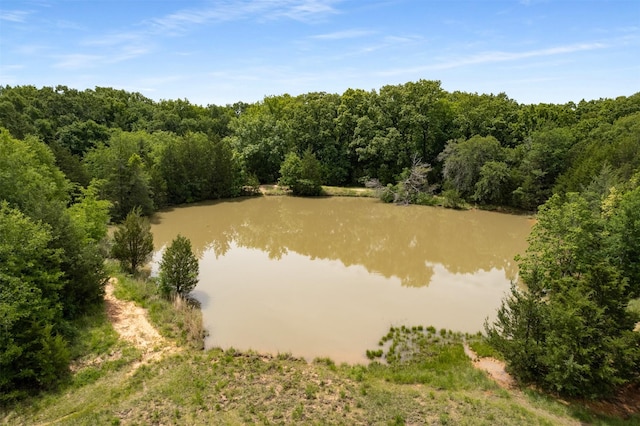 6111 County Road 2610, Bonham, TX 75418 - water view with a view of trees