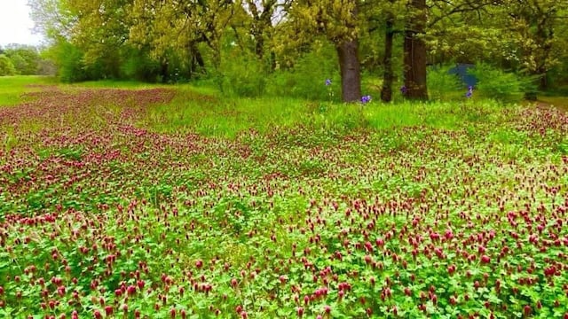 TBD-LOT1 Mccraw Ln, Denison, TX 75021
