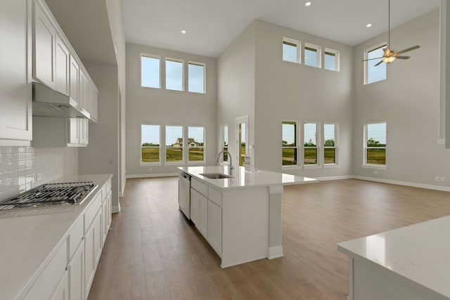 5614 Gaelic Dr, Celina, TX 75009 - kitchen with appliances with stainless steel finishes, under cabinet range hood, open floor plan, light wood-type flooring, and a high ceiling