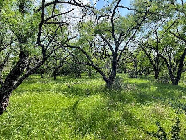 TBD County Road 137 Road, Cisco, TX 76437