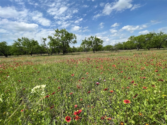 TBD County Road 137 Road, Cisco, TX 76437