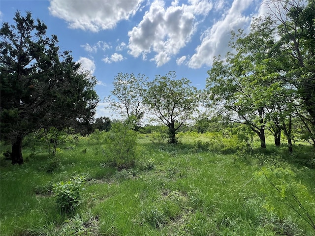 TBD County Road 137 Road, Cisco, TX 76437