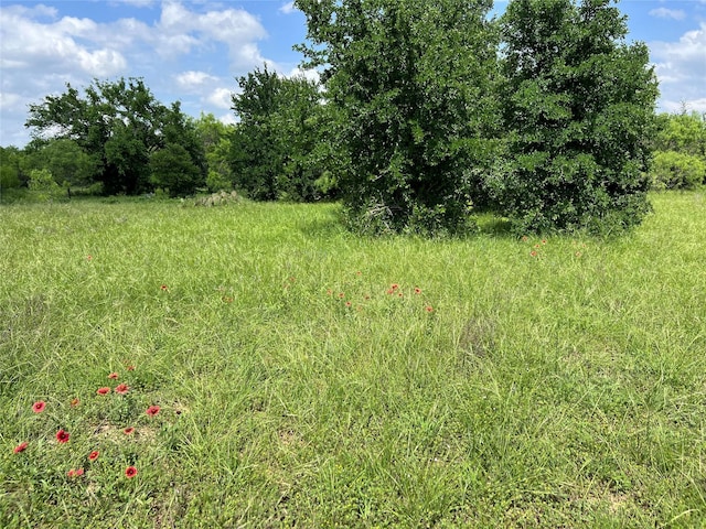 TBD County Road 137 Road, Cisco, TX 76437