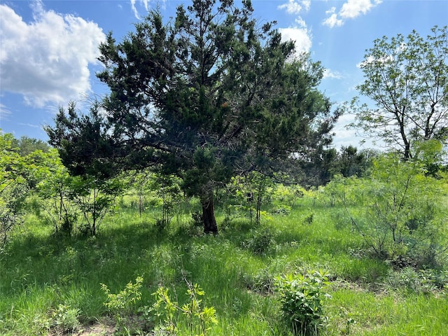 TBD County Road 137 Road, Cisco, TX 76437