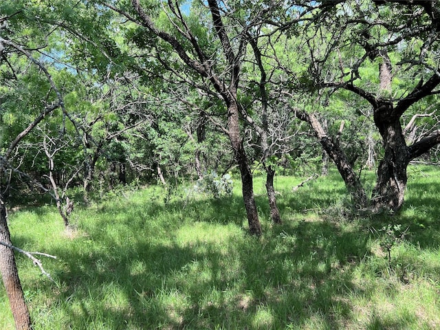TBD County Road 137 Road, Cisco, TX 76437