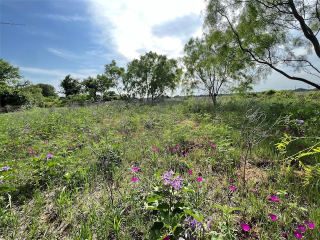 TBD County Road 137 Road, Cisco, TX 76437