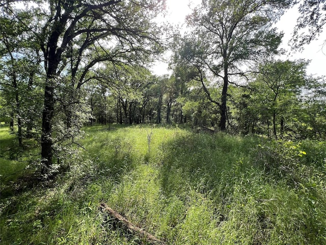 TBD County Road 137 Road, Cisco, TX 76437