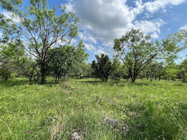 TBD County Road 137 Road, Cisco, TX 76437