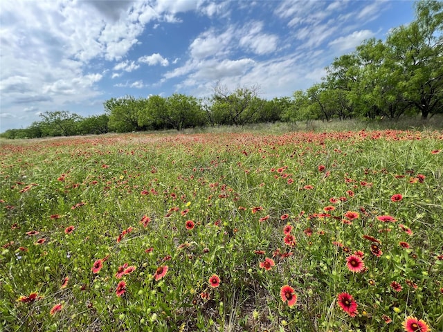 TBD County Road 137 Road, Cisco, TX 76437