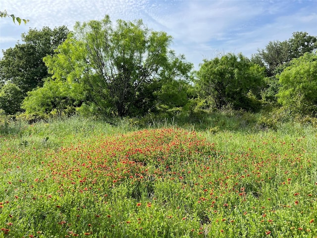 TBD County Road 137 Road, Cisco, TX 76437